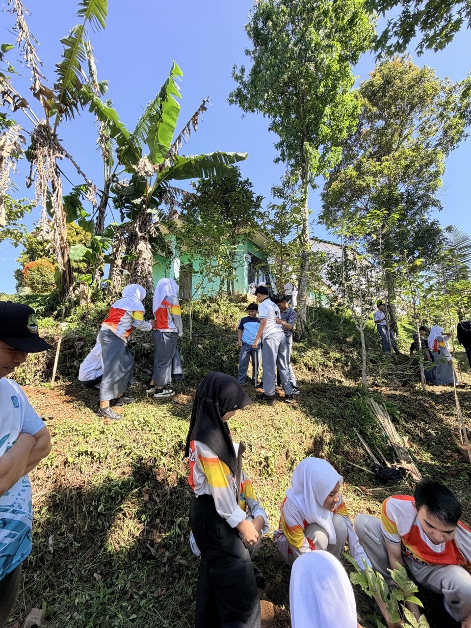Siswa dan siswi SMKN 1 Rongga menyebar di tebing bukit belakang sekolah menanam bibit pohon penguat lereng