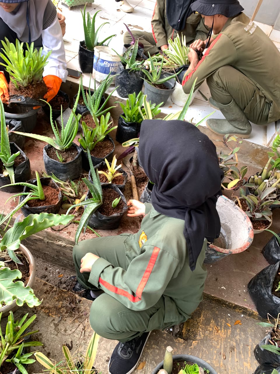 Sekelompok siswa ATPH SMKN 1 Rongga bekerja sama memperbarui media tanam berbagai jenis tanaman hias